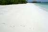 Bandos Island Resort 